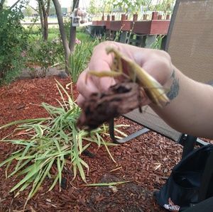 Meet your Posher, Sheila